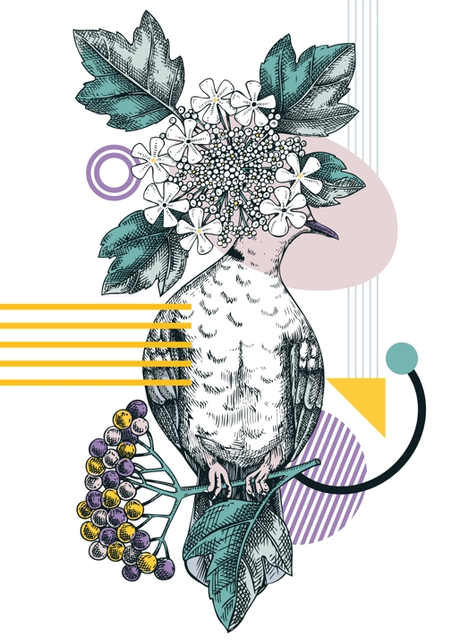 Collage style dove vector illustration. Hand-drawn bird on blooming guelder rose branches with flowers, berries, leaves. Trendy design with botanical sketches, geometric shapes, and abstract elements.